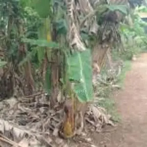 Land for Sale – Godagama