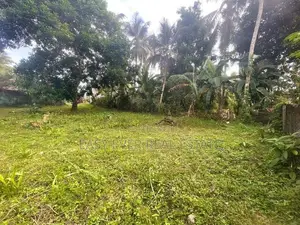 හෝමාගමෙන් සුපිරි ඉඩමක්