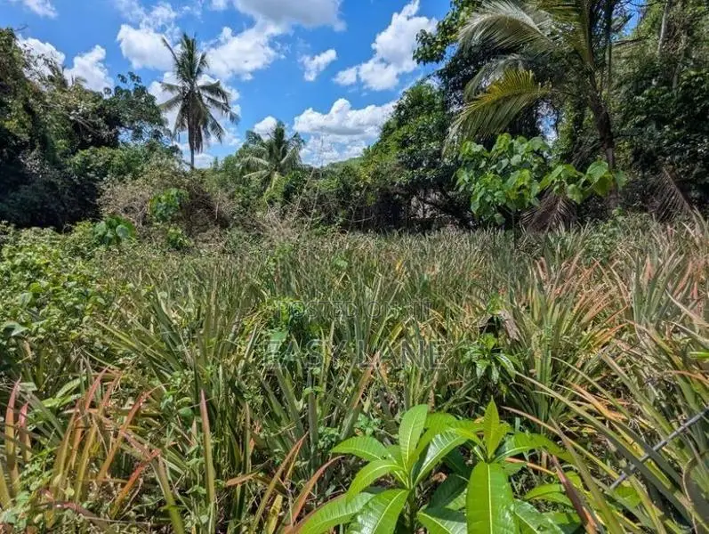 ගම්පහ – යාගොඩ දුම්රිය ස්ථානය ආසන්නයෙන් වටිනා ඉඩමක් |SA 12689