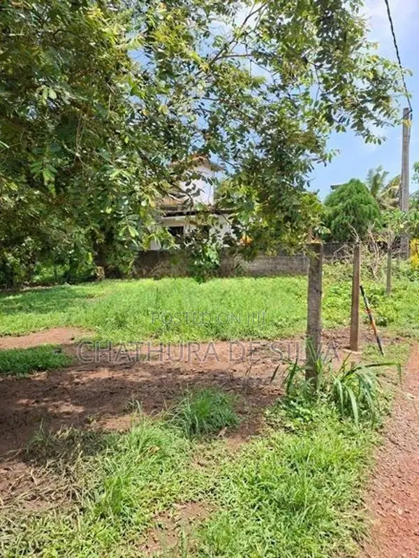 Clear Land for Sale in Ja-Ela