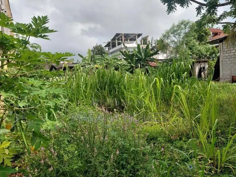 Land for Sale Boralesgamuwa