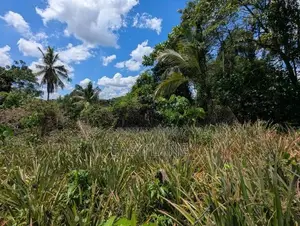 ගම්පහ – යාගොඩ දුම්රිය ස්ථානය ආසන්නයෙන් වටිනා ඉඩමක් |SA 12689