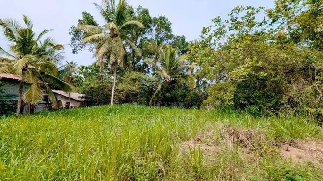 මීරීගම හල්පේ/ පර්වස් 15