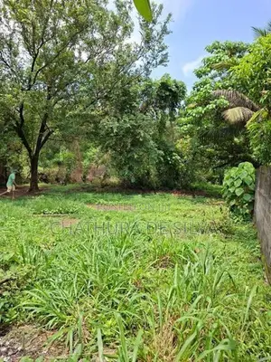 Clear Land for Sale in Ja-Ela