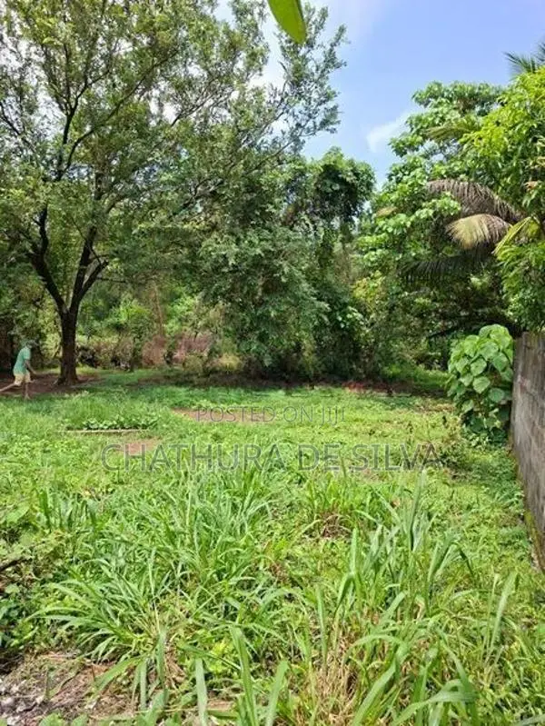 Clear Land for Sale in Ja-Ela