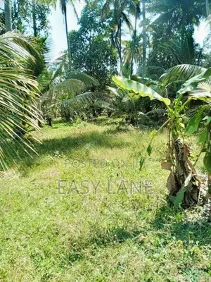kurunegala විකිණීමට ඇති වටිනා පොල් ඉඩමක්