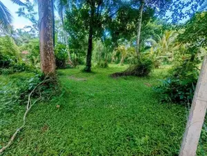 ගම්පහ / පර්චස් 38 ම