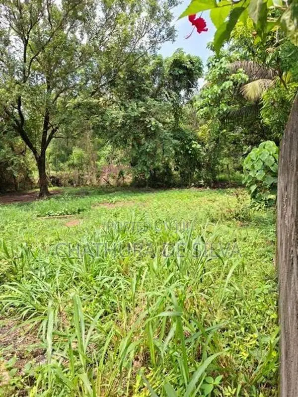 Clear Land for Sale in Ja-Ela