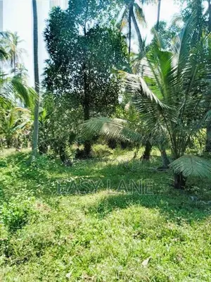 kurunegala විකිණීමට ඇති වටිනා පොල් ඉඩමක්