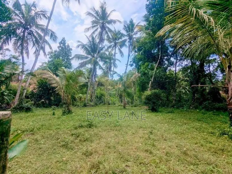 ගම්පහ / පර්චස් 38 ම