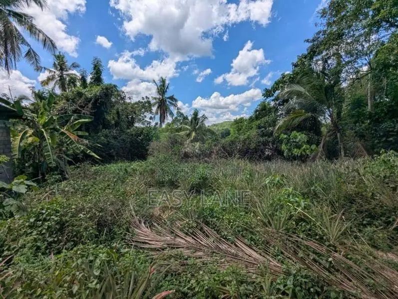 ගම්පහ – යාගොඩ දුම්රිය ස්ථානය ආසන්නයෙන් වටිනා ඉඩමක් |SA 12689
