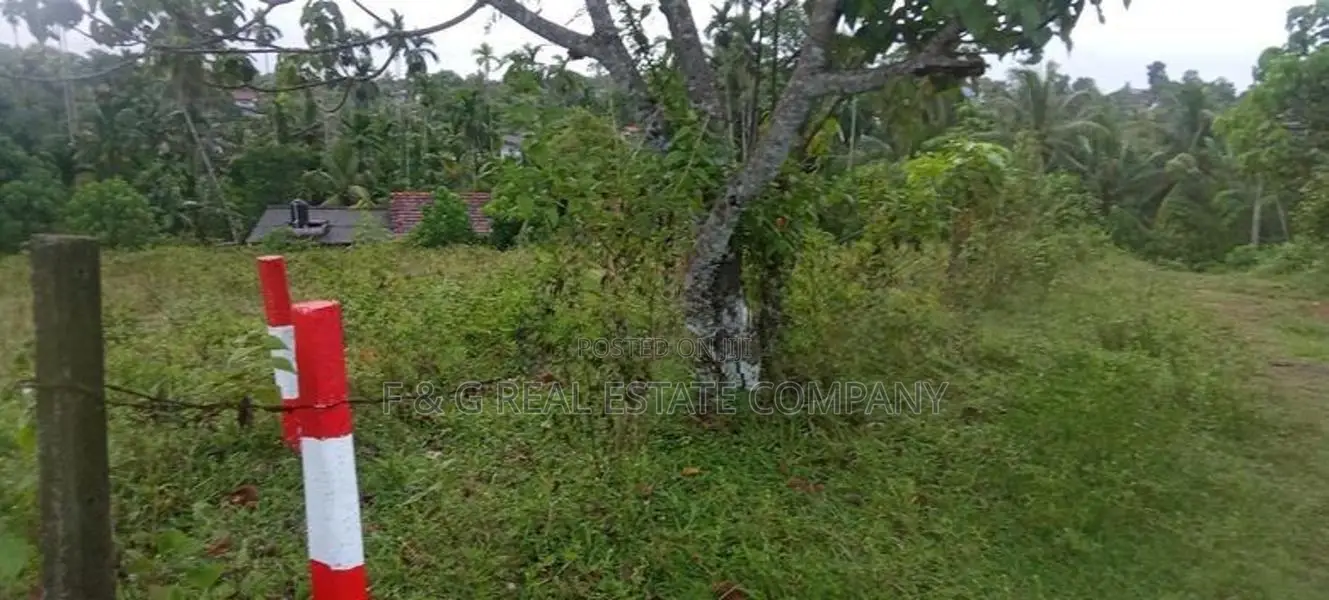 ඉඩම රයිගම