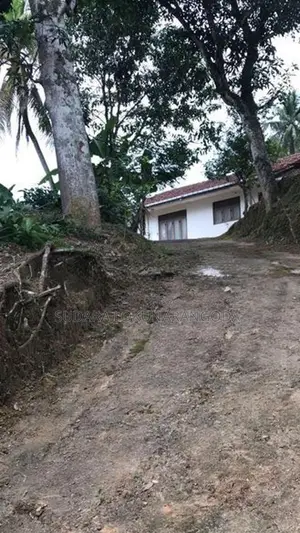 Deniyaya House with Land for Sale