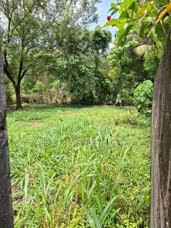 Clear Land for Sale in Ja-Ela