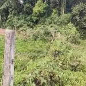 Flat Residential Land for Sale – Bandaragama