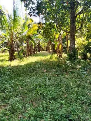 kurunegala විකිණීමට ඇති වටිනා පොල් ඉඩමක්