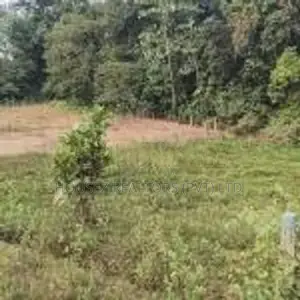 Flat Residential Land for Sale – Bandaragama