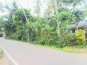 Valuable Land for Sale – Piliyandala