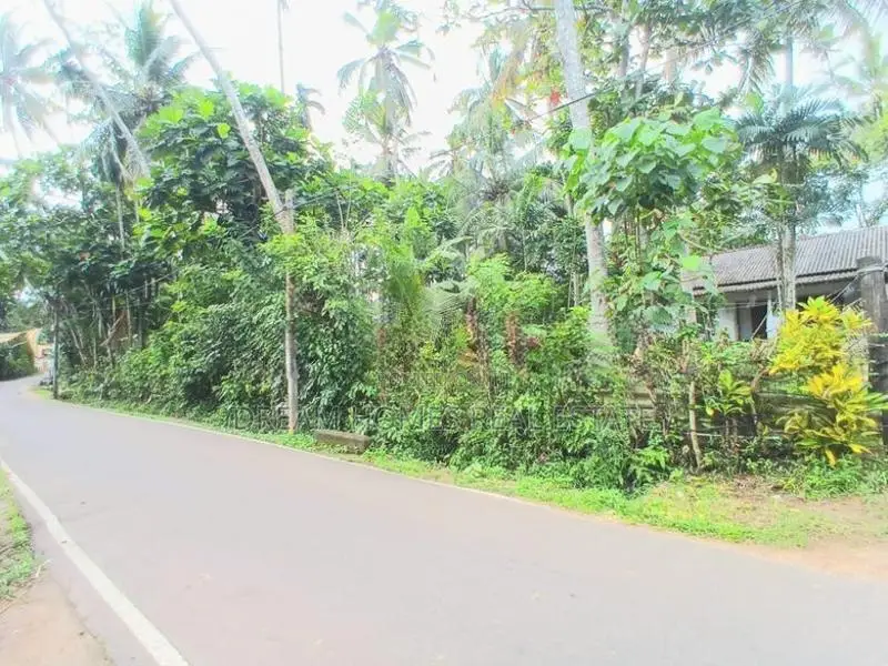 Valuable Land for Sale – Piliyandala