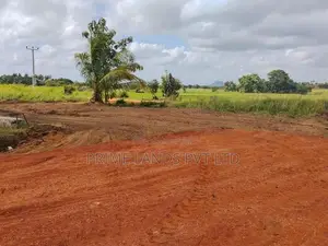 අනුරාධපුර නාච්චාදූව පාරෙන් සින්නක්කර ඉඩමක්