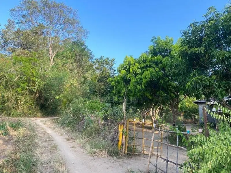 ඇතිමලේ ඉඩමක් සමග ගෙයක් විකිනිමට