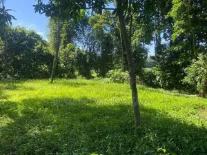 Land For Sale Ragama