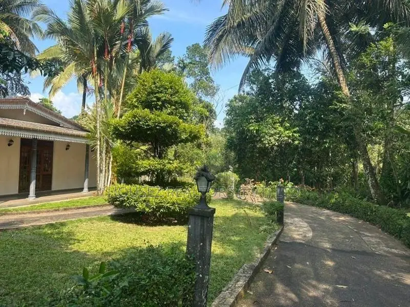Beautiful 5-Bedroom House for Sale in Nawalapitiya – Paththunupitiya