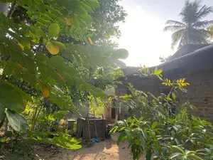 ඇතිමලේ ඉඩමක් සමග ගෙයක් විකිනිමට