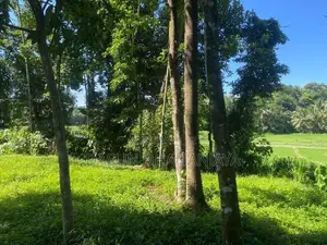 Land For Sale Ragama