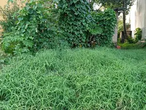 Land for sale in dehiwela