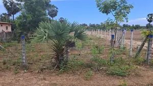 Land for Sale in Batticaloa