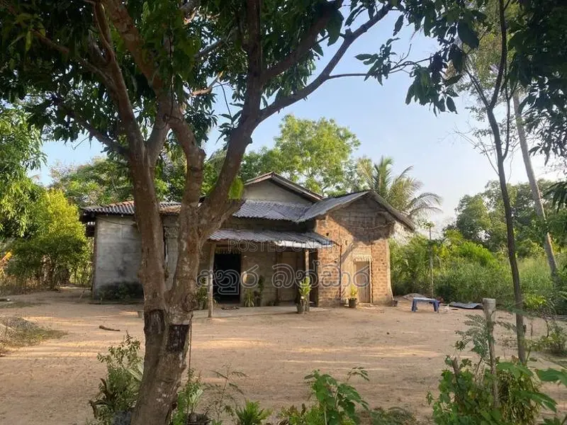 ඇතිමලේ ඉඩමක් සමග ගෙයක් විකිනිමට