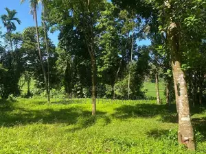 Land For Sale Ragama