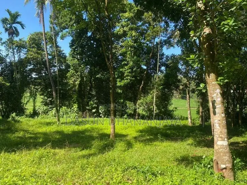 Land For Sale Ragama