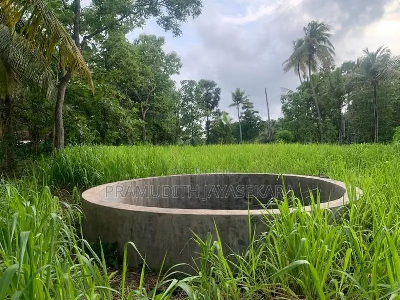 Land for Sale in Anamaduwa