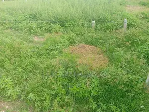 Land for sale in dehiwela