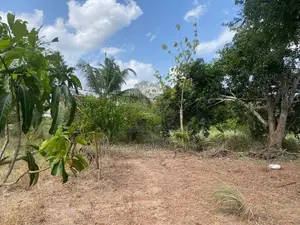 ඇතිමලේ ඉඩමක් සමග ගෙයක් විකිනිමට