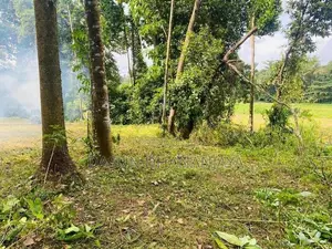 Land For Sale Ragama