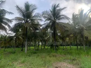 Land for Sale in Anamaduwa
