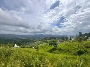 Premium 40 Perches Land for Sale in Kandy