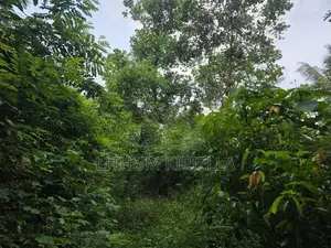 Land for Sale ( Rathupaswala )
