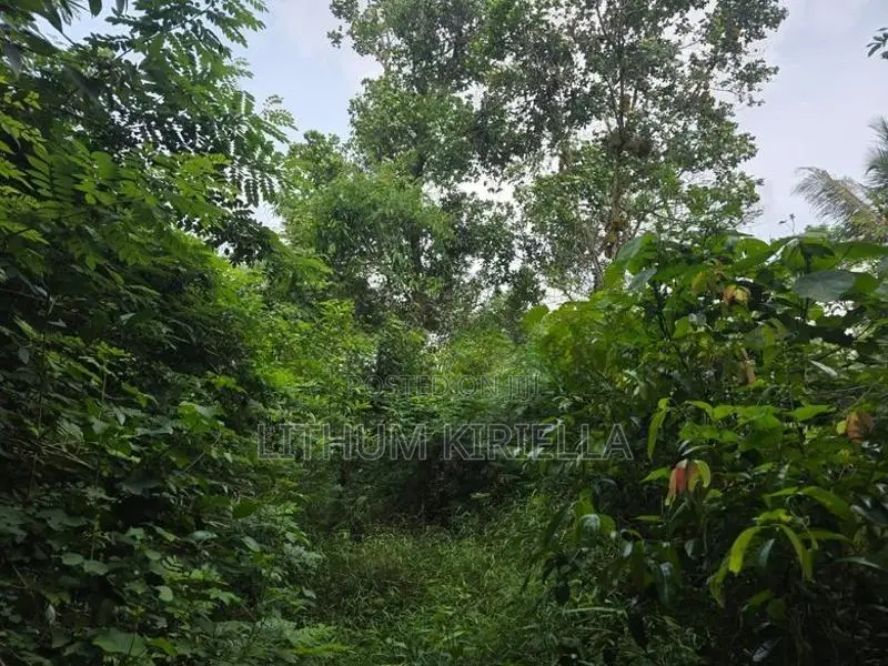 Land for Sale ( Rathupaswala )