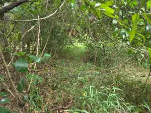 Land for Sale ( Rathupaswala )