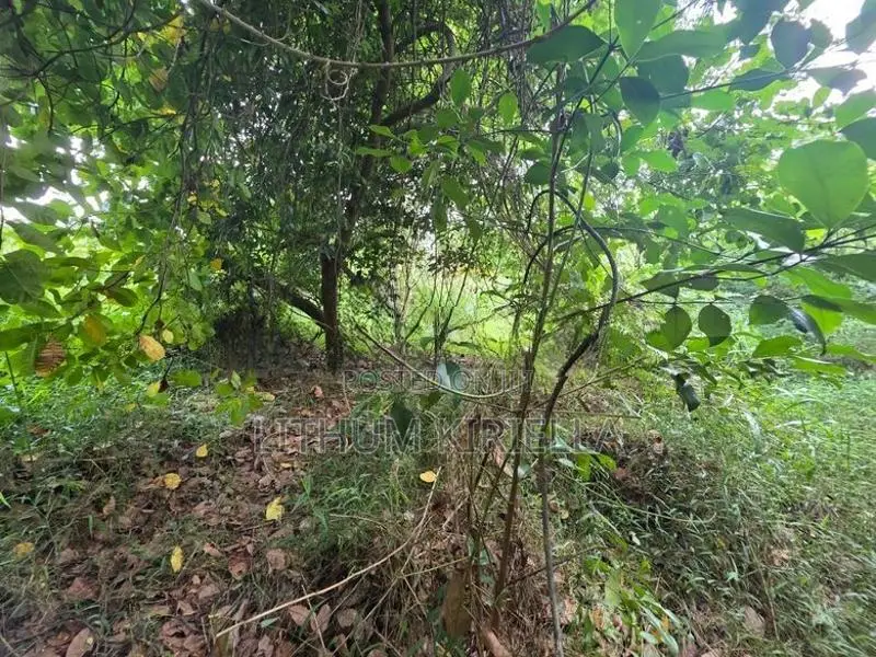 Land for Sale ( Rathupaswala )