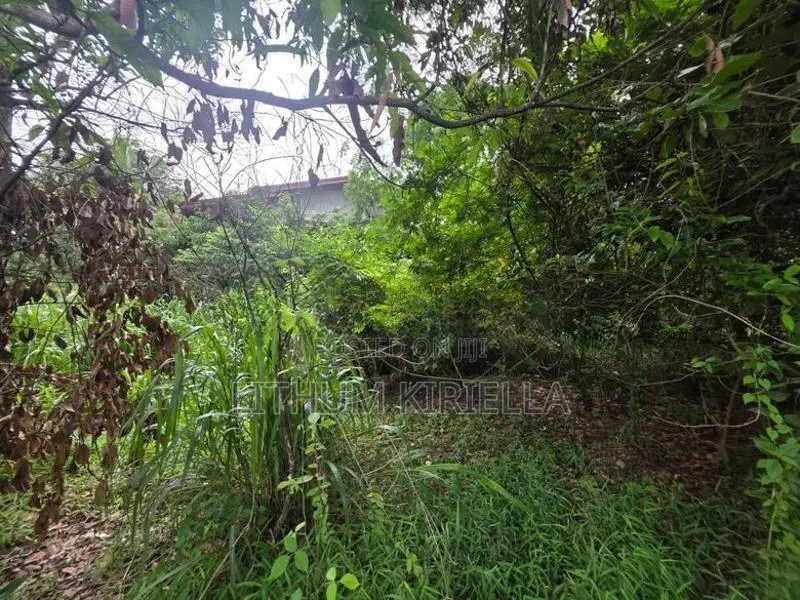 Land for Sale ( Rathupaswala )