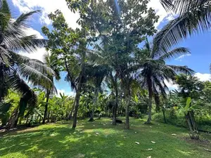 Land with Two Houses for Sale Mulleriyawa