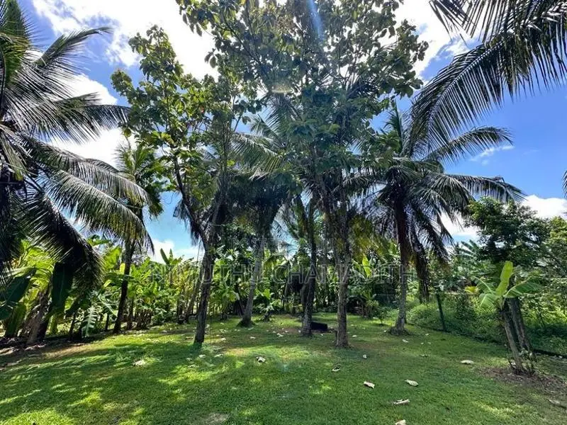 Land with Two Houses for Sale Mulleriyawa