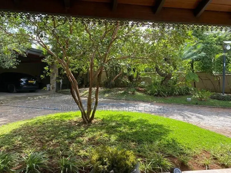 Luxury banglow 92 perch with 2 acres paddy field Maharagama