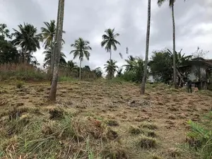 වටිනා ඉඩමක් විකිණීමට – වරකන්ද, මාතලේ