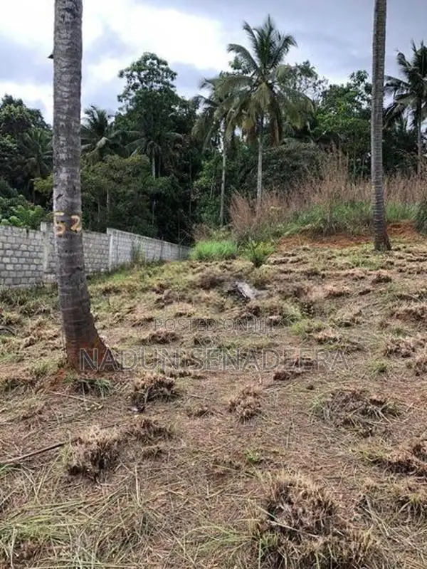 වටිනා ඉඩමක් විකිණීමට – වරකන්ද, මාතලේ